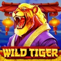 Slots Hammer Casino: Login E Cadastro